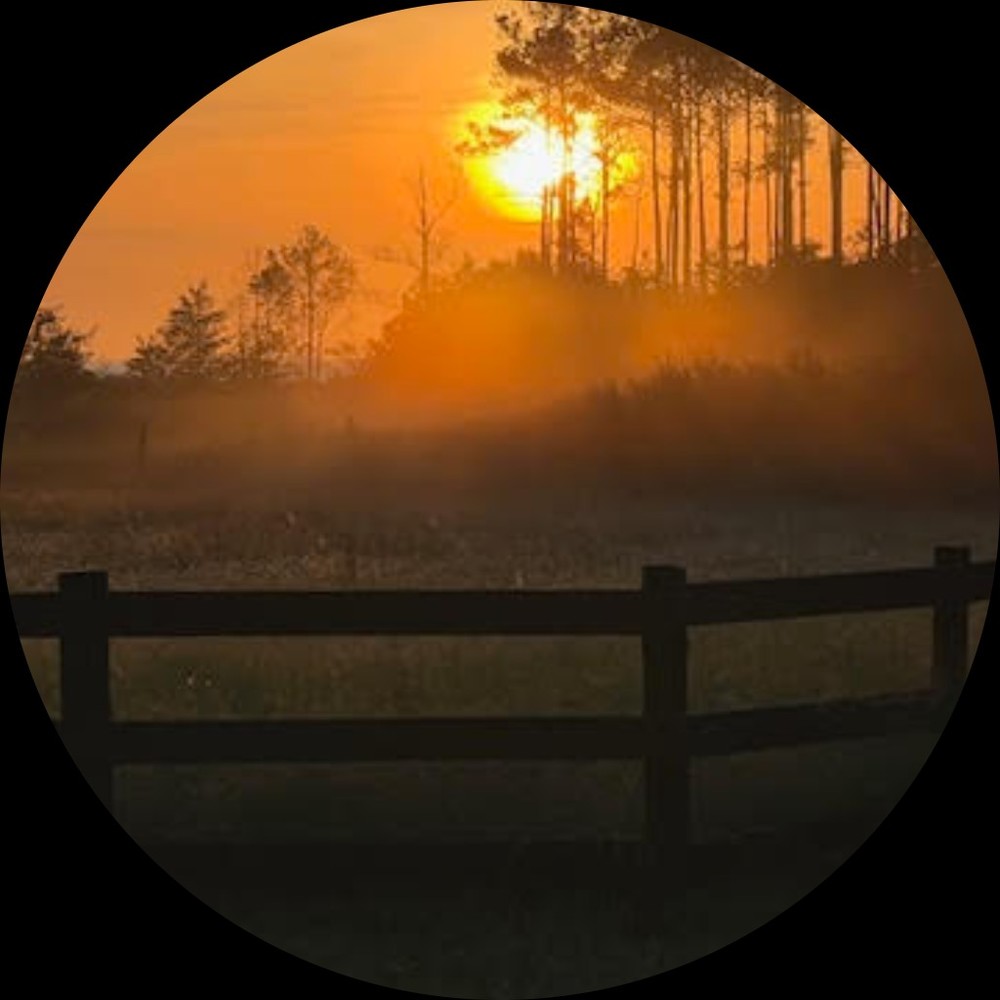 Batten Bay Barn & Rescue